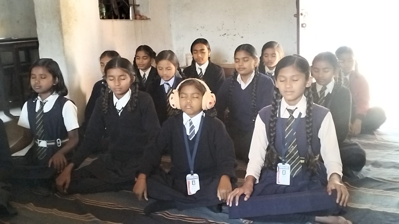 Brain Development
